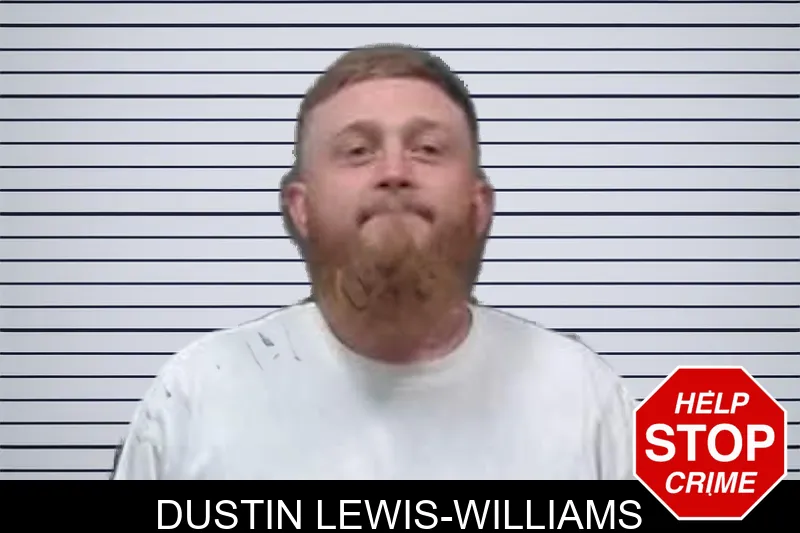 Dustin Lewis-Williams mugshot