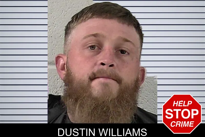 Dustin Williams mugshot