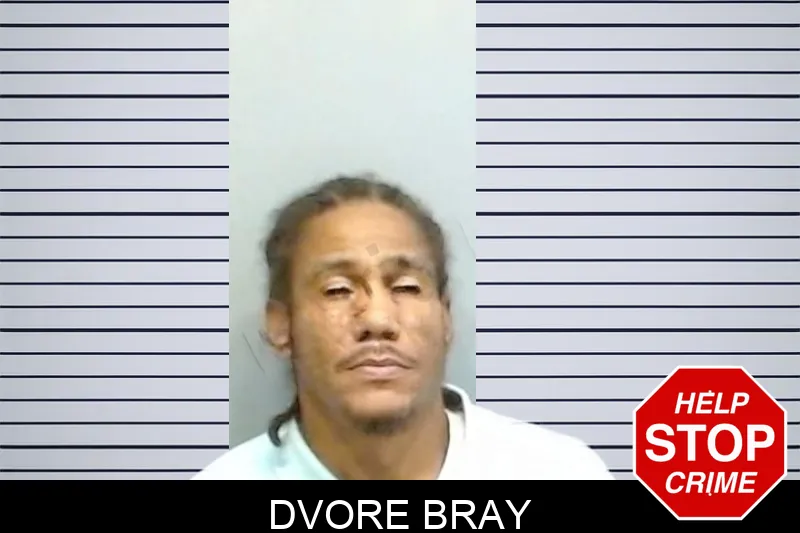 Dvore Bray mugshot