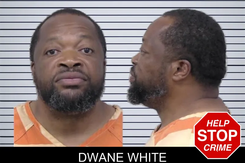 Dwane White mugshot – Paulding County , Georgia Dwane White mugshot