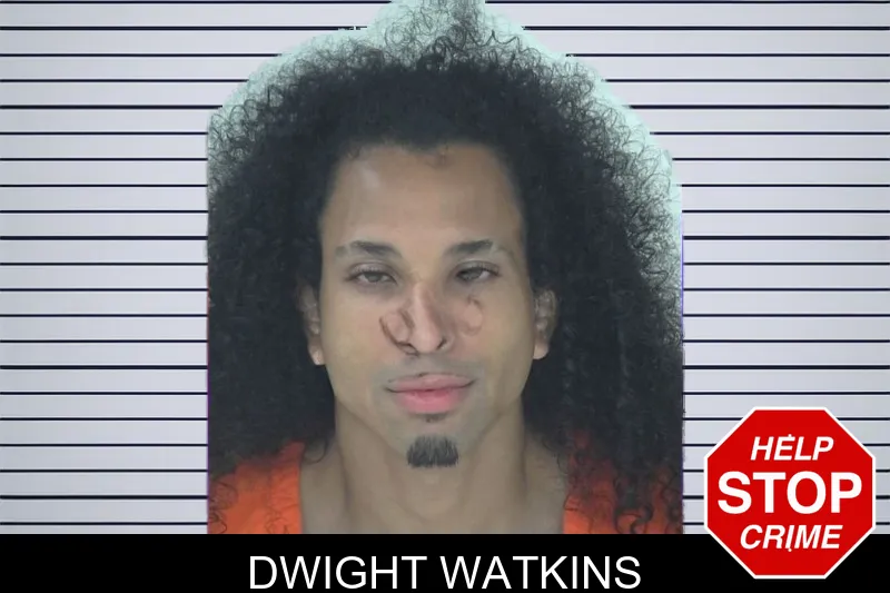 Dwight Watkins mugshot