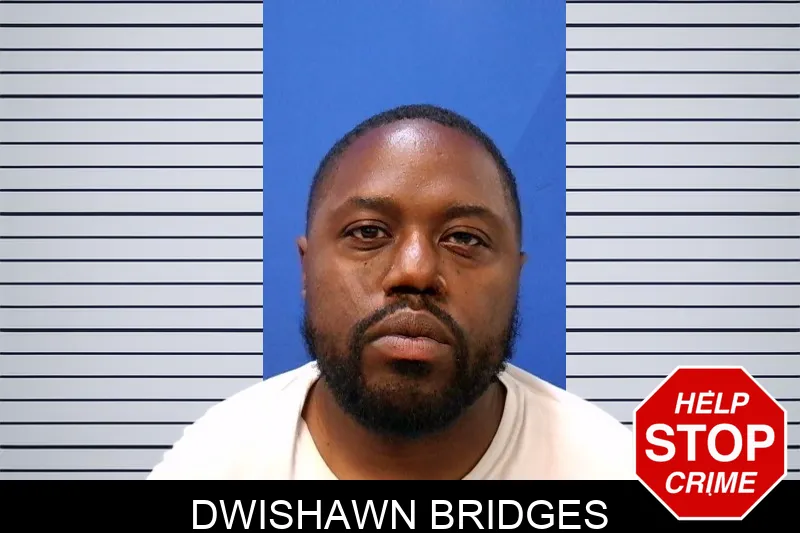 Dwishawn Bridges mugshot