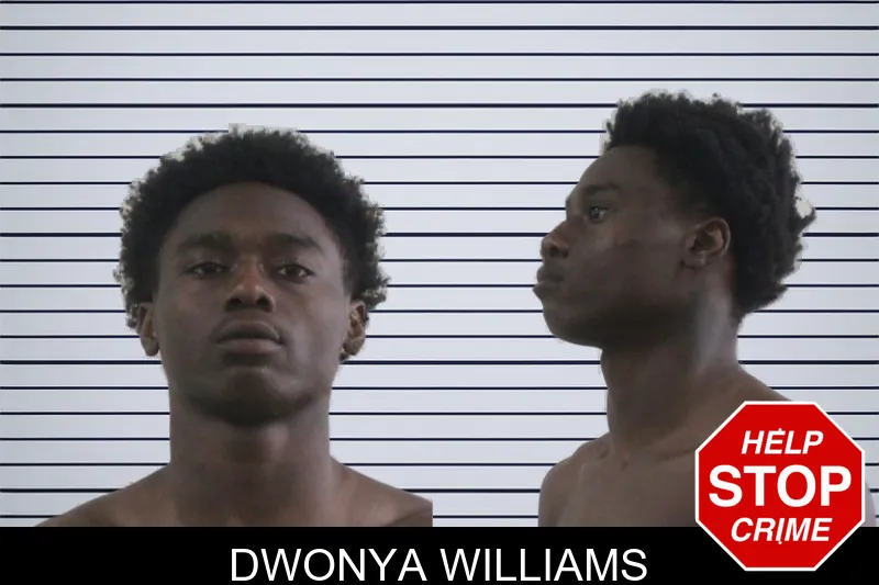 Dwonya Williams mugshot – Houston County , Georgia Dwonya Williams mugshot