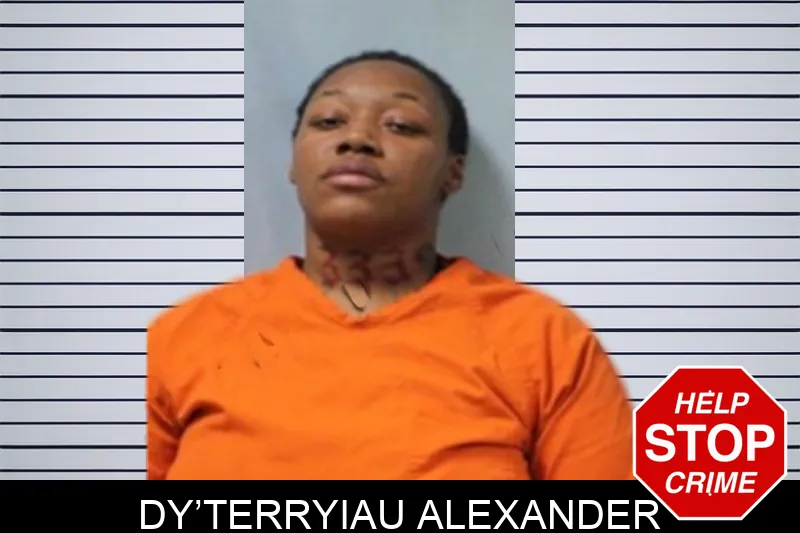 Dy’Terryiau Alexander mugshot