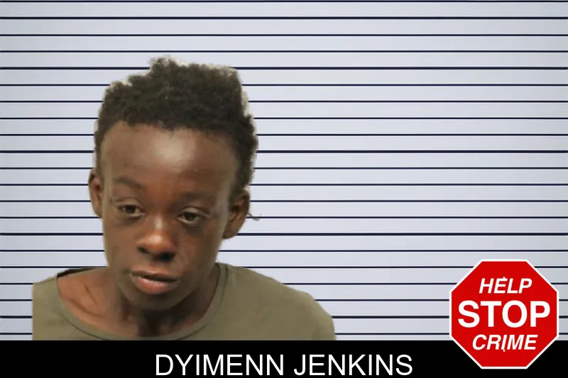 Dyimenn Jenkins mugshot