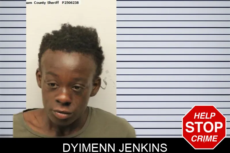 Dyimenn Jenkins mugshot