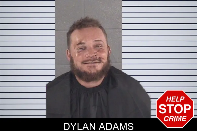 Dylan Adams mugshot