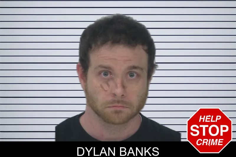 Dylan Banks mugshot – Fayette County , Georgia Dylan Banks mugshot