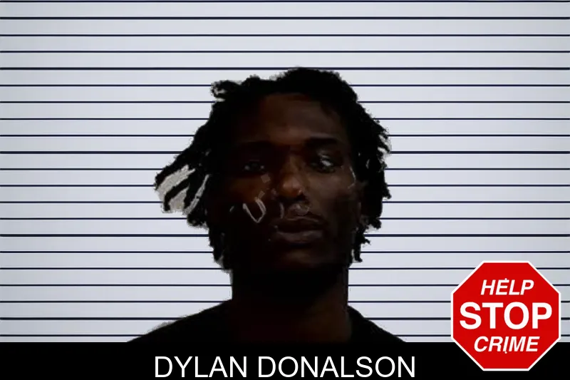 Dylan Donalson mugshot