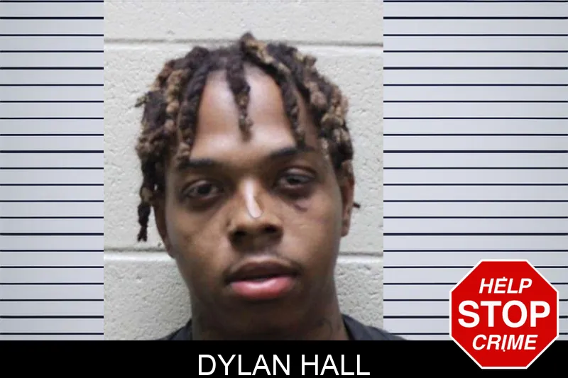 Dylan Hall mugshot
