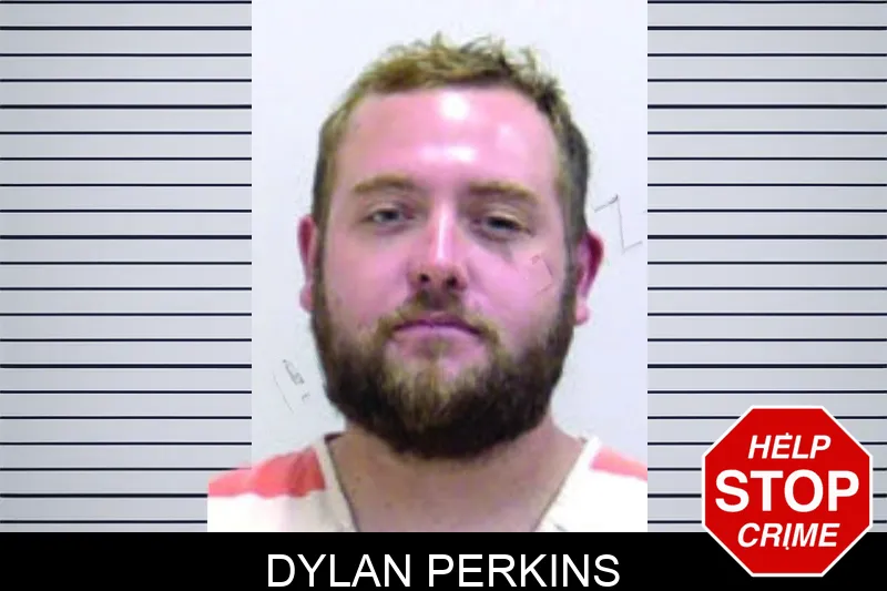 Dylan Perkins mugshot