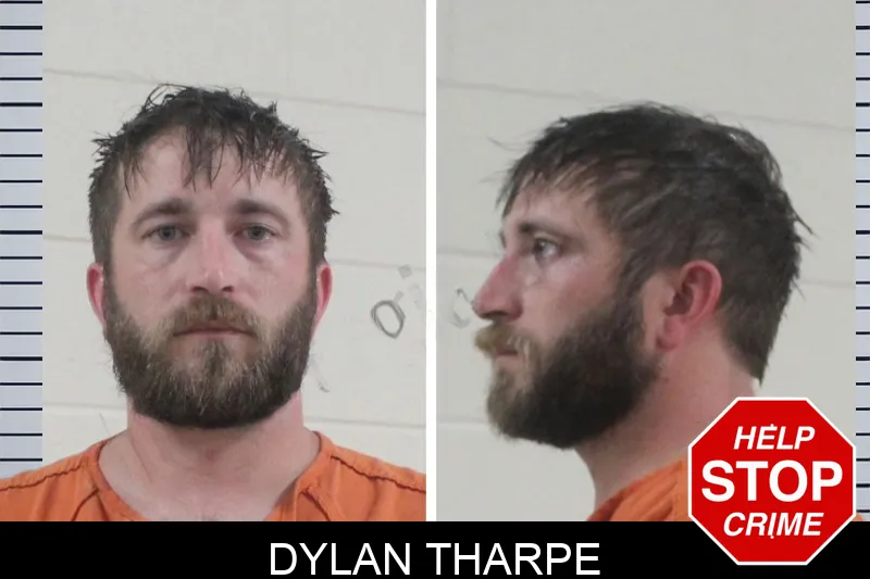 Dylan Tharpe mugshot