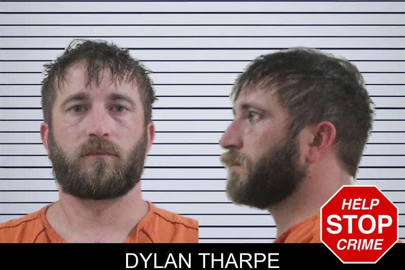 Dylan Tharpe mugshot