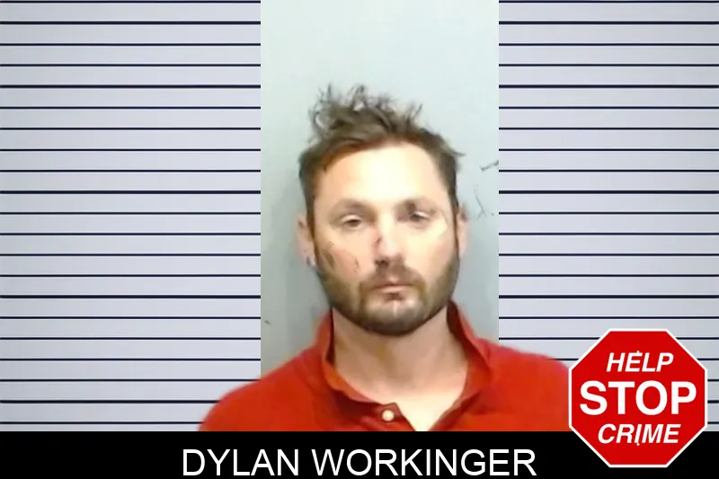 Dylan Workinger mugshot