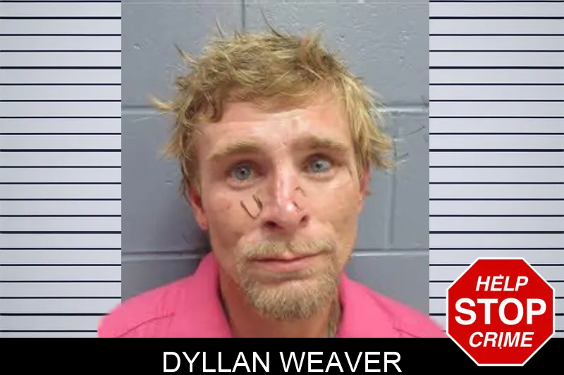 Dyllan Weaver mugshot