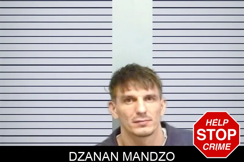 Dzanan Mandzo mugshot