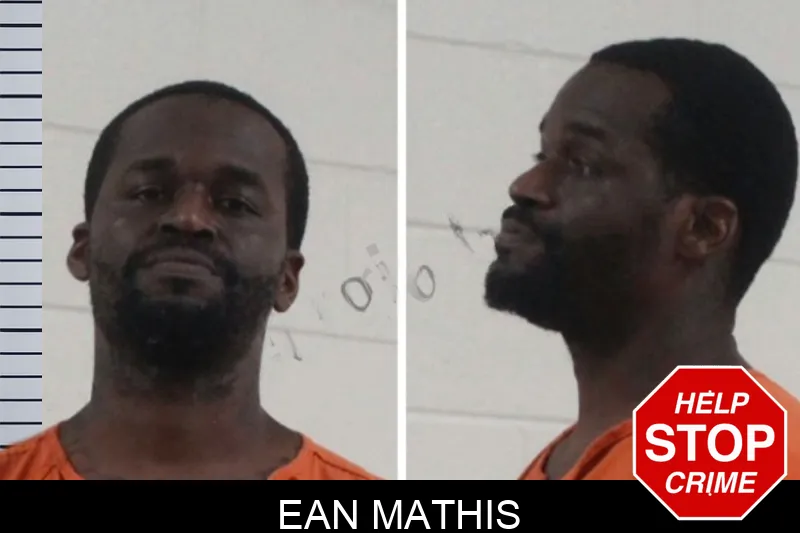 Ean Mathis mugshot