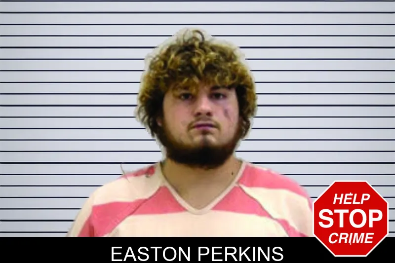 Easton Perkins mugshot – Bartow County , Georgia Easton Perkins mugshot