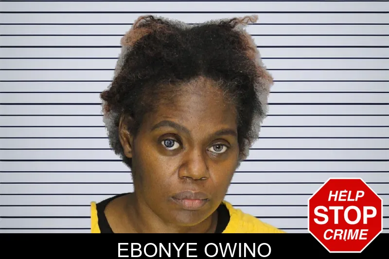Ebonye Owino mugshot – Cobb County , Georgia Ebonye Owino mugshot