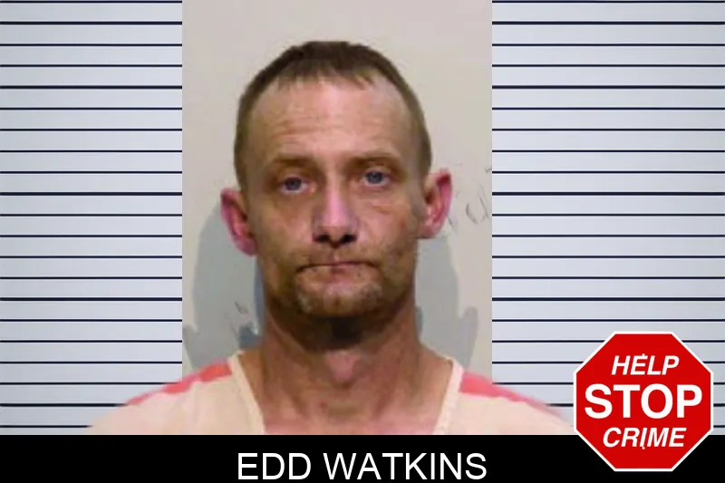 Edd Watkins mugshot