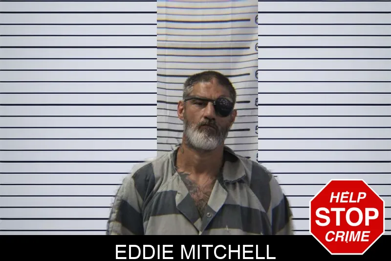Eddie Mitchell mugshot – Stephens County , Georgia Eddie Mitchell mugshot