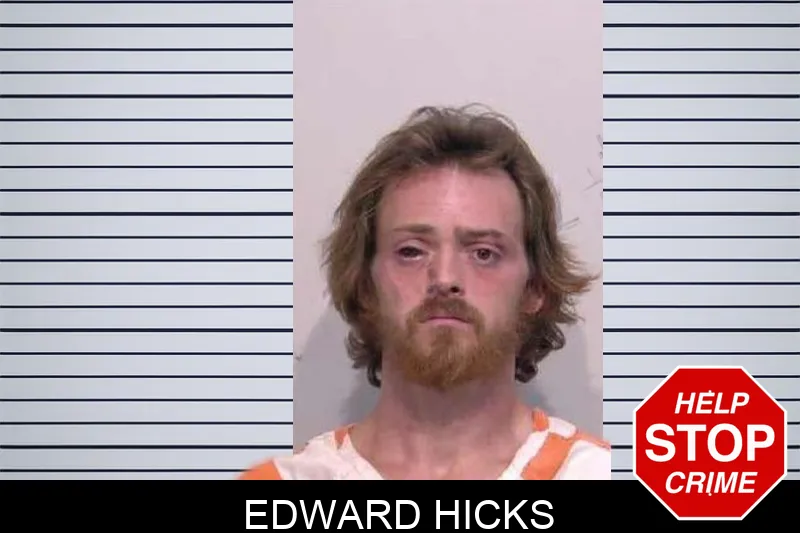 Edward Hicks mugshot