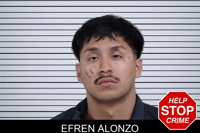 Efren Alonzo mugshot – Lowndes County , Georgia Efren Alonzo mugshot