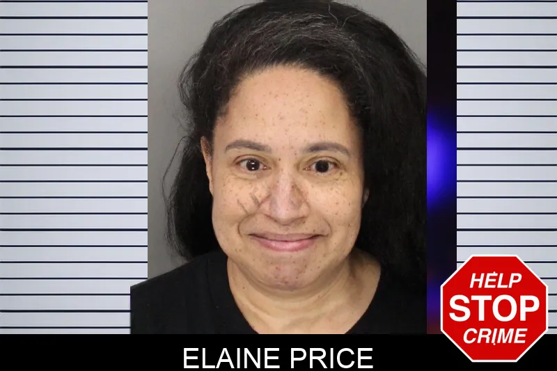 Elaine Price mugshot – Cobb County , Georgia Elaine Price mugshot