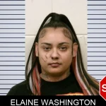 Elaine Washington mugshot