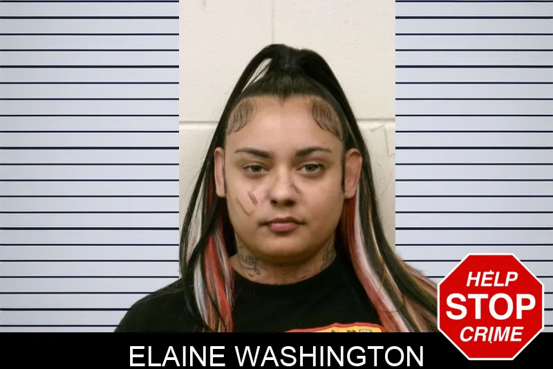 Elaine Washington mugshot