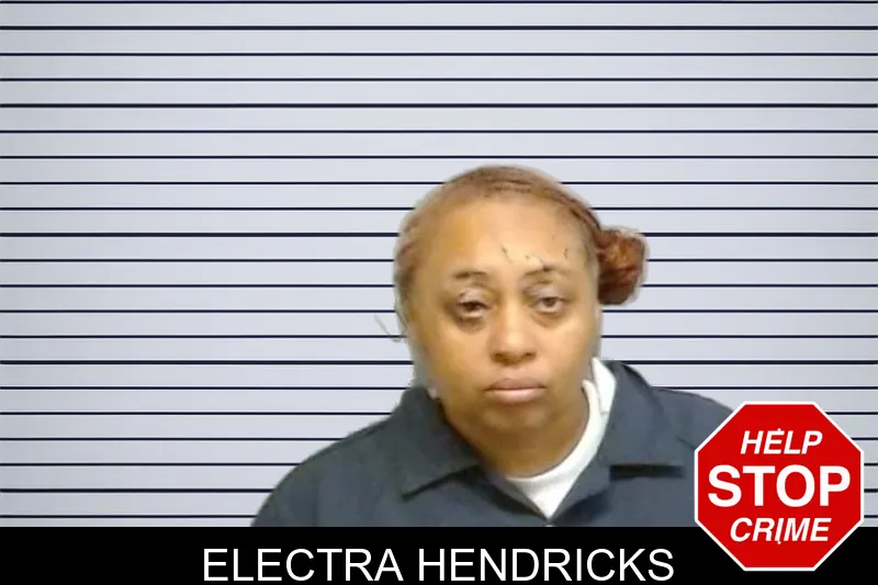 Electra Hendricks mugshot