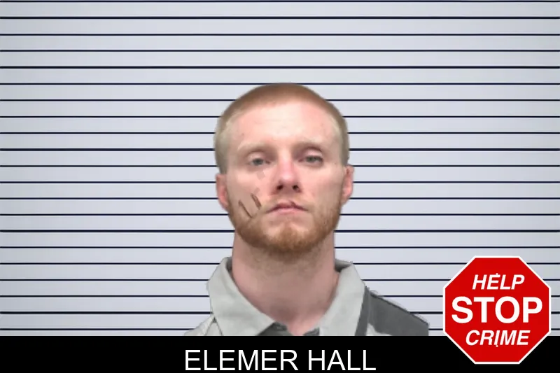 Elemer Hall mugshot