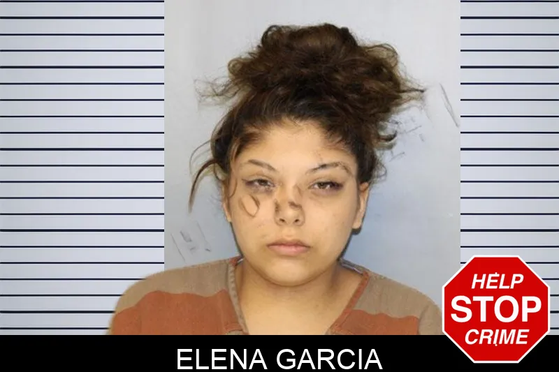 Elena Garcia mugshot