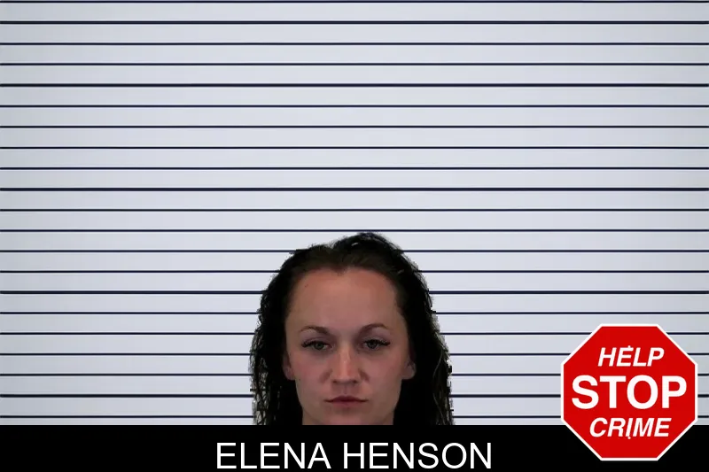 Elena Henson mugshot