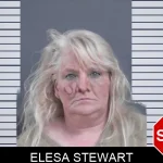Elesa Stewart mugshot