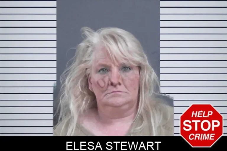 Elesa Stewart mugshot – Seminole County , Georgia Elesa Stewart