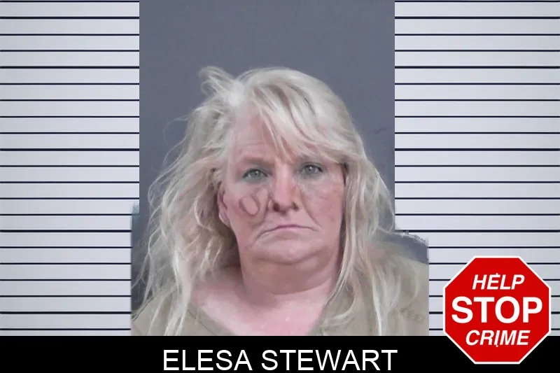 Elesa Stewart mugshot