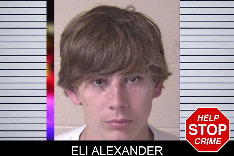 Eli Alexander mugshot