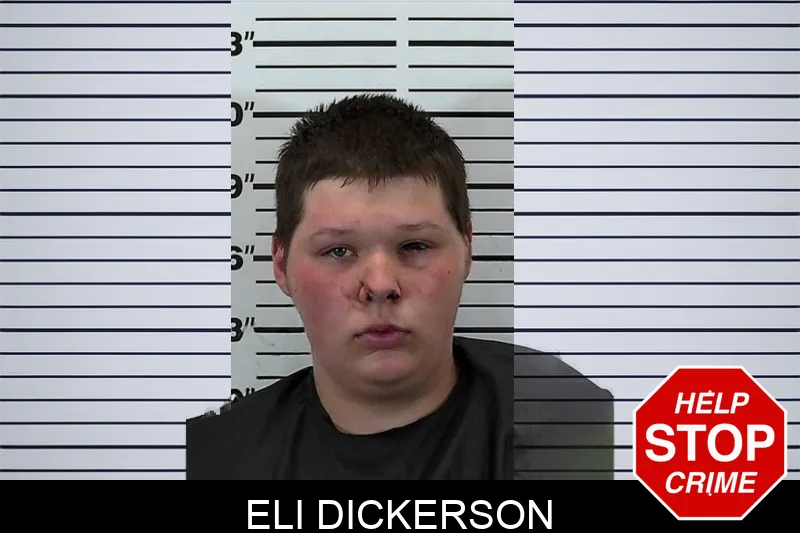 Eli Dickerson mugshot