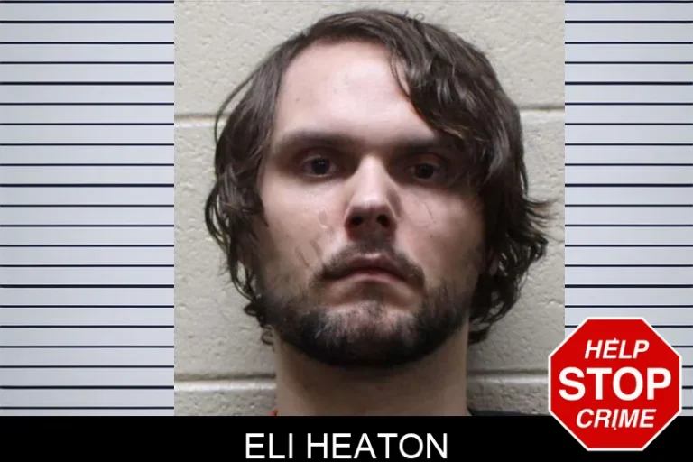 Eli Heaton