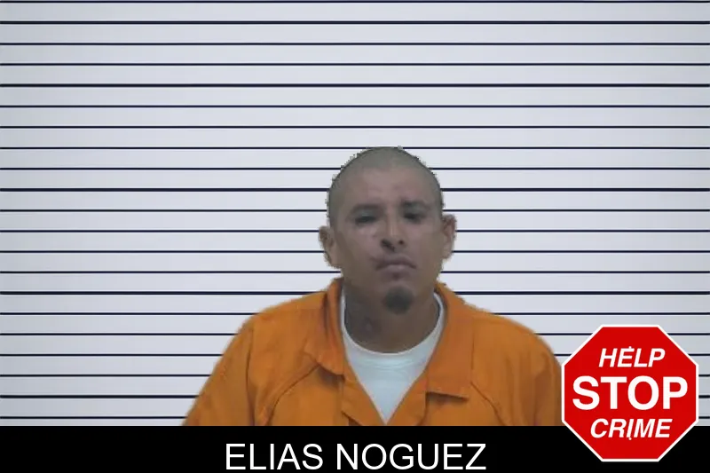 Elias Noguez mugshot