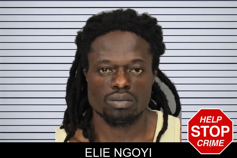 Elie Ngoyi mugshot – Cobb County , Georgia Elie Ngoyi mugshot