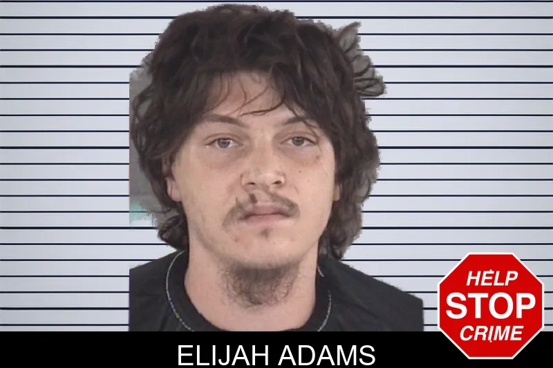 Elijah Adams mugshot