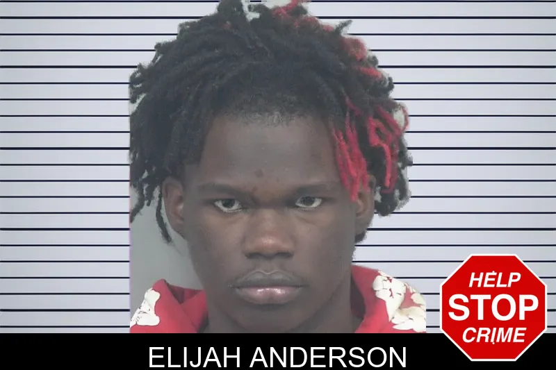 Elijah Anderson mugshot – Gwinnett County , Georgia Elijah Anderson mugshot