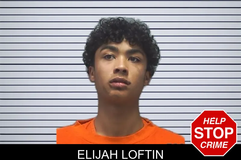 Elijah Loftin mugshot – Cherokee County , Georgia Elijah Loftin mugshot