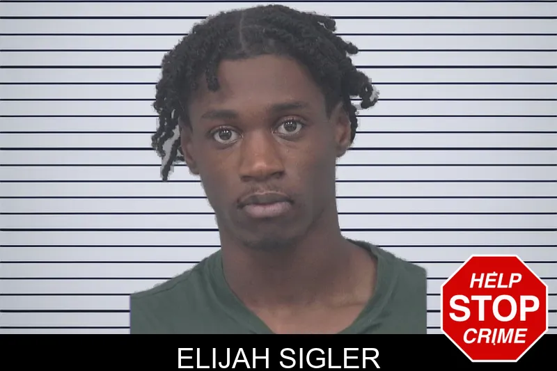 Elijah Sigler mugshot – Gwinnett County , Georgia Elijah Sigler mugshot