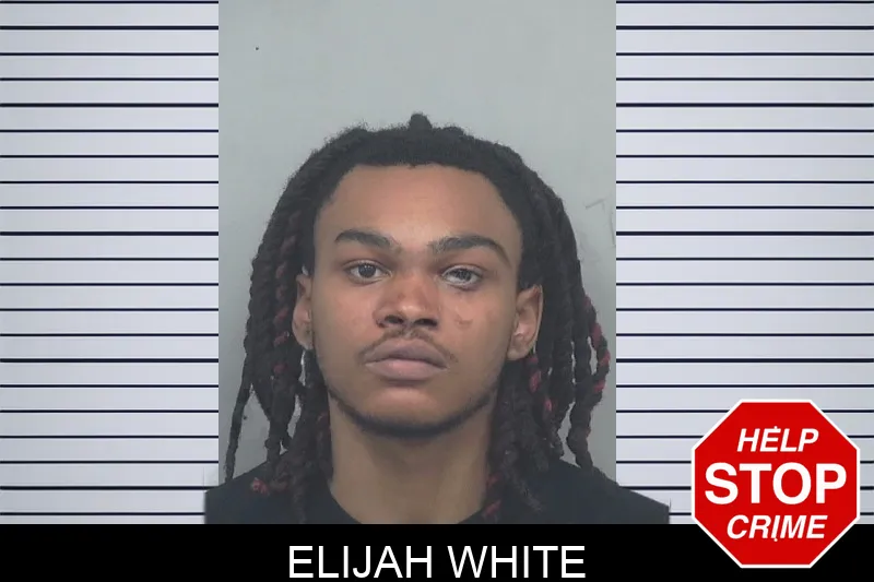 Elijah White mugshot – Gwinnett County , Georgia Elijah White mugshot