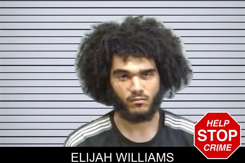 Elijah Williams mugshot
