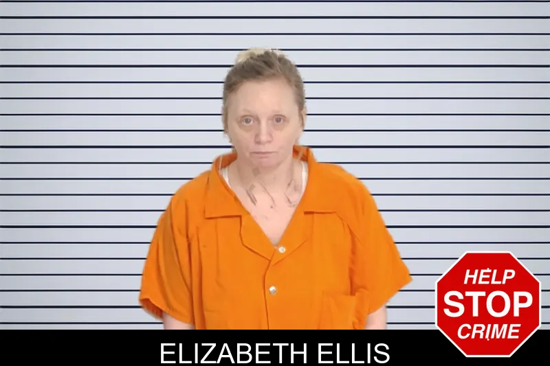 Elizabeth Ellis mugshot