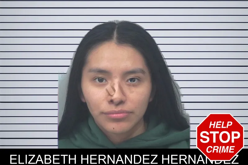 Elizabeth Hernandez Hernandez mugshot